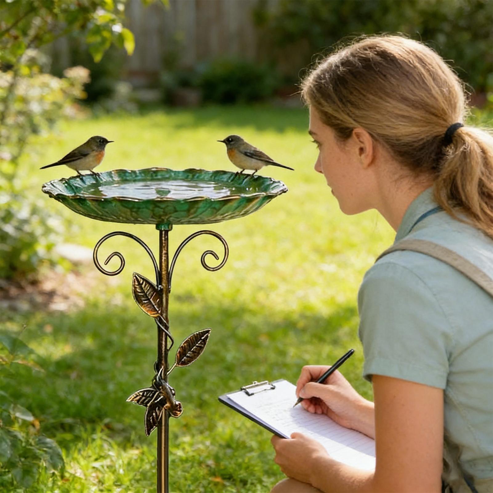 Bird Baths for Outdoors 30 inc - Farming And Agriculture review and price